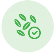 green rice icon