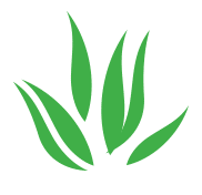 green weeds icon